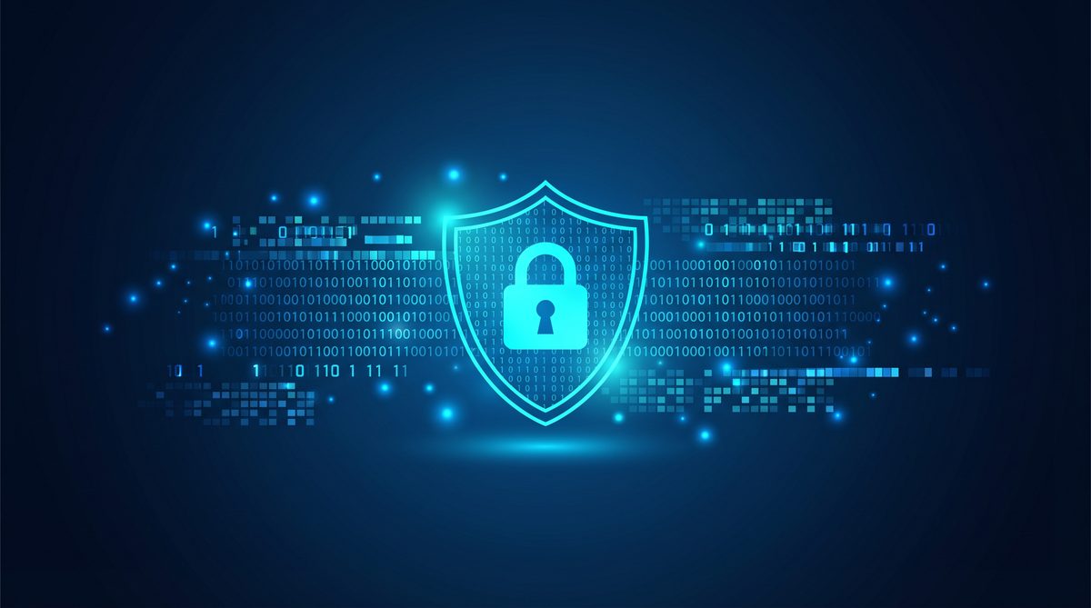 海鹦加速器隐私安全保护